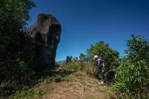 BIB: 
                            <button type="button" onclick="openModal(26583422)" class="btn btn-primary btn-sm float-right btn-popup" data-toggle="modal" data-target=".modal-high-quality">
                        <i class="fas fa-shopping-cart"></i> Add to Cart
                    </button>
                                            <button type="button" onclick="isThisMe(26583422, true)" class="btn btn-success btn-sm float-right btn-popup btn-isme hidden" data-toggle="tooltip" data-placement="bottom" title="นี่คือรูปของคุณใช่ไหม คลิกที่นี่เพื่อเอาเข้าอัลบั้ม">
                        <i class="fas fa-plus"></i> Add to album
                    </button>
                    <button type="button" onclick="isThisMe(26583422, false)" class="btn btn-warning btn-sm float-right btn-popup btn-isnotme hidden">
                        <i class="fas fa-ban"></i> Remove from album
                    </button>