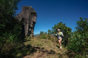 BIB: 
                            <button type="button" onclick="openModal(26575466)" class="btn btn-primary btn-sm float-right btn-popup" data-toggle="modal" data-target=".modal-high-quality">
                        <i class="fas fa-shopping-cart"></i> Add to Cart
                    </button>
                                            <button type="button" onclick="isThisMe(26575466, true)" class="btn btn-success btn-sm float-right btn-popup btn-isme hidden" data-toggle="tooltip" data-placement="bottom" title="นี่คือรูปของคุณใช่ไหม คลิกที่นี่เพื่อเอาเข้าอัลบั้ม">
                        <i class="fas fa-plus"></i> Add to album
                    </button>
                    <button type="button" onclick="isThisMe(26575466, false)" class="btn btn-warning btn-sm float-right btn-popup btn-isnotme hidden">
                        <i class="fas fa-ban"></i> Remove from album
                    </button>