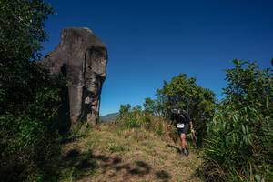 BIB: 
                            <button type="button" onclick="openModal(26574801)" class="btn btn-primary btn-sm float-right btn-popup" data-toggle="modal" data-target=".modal-high-quality">
                        <i class="fas fa-shopping-cart"></i> Add to Cart
                    </button>
                                            <button type="button" onclick="isThisMe(26574801, true)" class="btn btn-success btn-sm float-right btn-popup btn-isme hidden" data-toggle="tooltip" data-placement="bottom" title="นี่คือรูปของคุณใช่ไหม คลิกที่นี่เพื่อเอาเข้าอัลบั้ม">
                        <i class="fas fa-plus"></i> Add to album
                    </button>
                    <button type="button" onclick="isThisMe(26574801, false)" class="btn btn-warning btn-sm float-right btn-popup btn-isnotme hidden">
                        <i class="fas fa-ban"></i> Remove from album
                    </button>