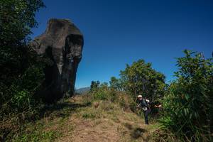 BIB: 
                            <button type="button" onclick="openModal(26579434)" class="btn btn-primary btn-sm float-right btn-popup" data-toggle="modal" data-target=".modal-high-quality">
                        <i class="fas fa-shopping-cart"></i> Add to Cart
                    </button>
                                            <button type="button" onclick="isThisMe(26579434, true)" class="btn btn-success btn-sm float-right btn-popup btn-isme hidden" data-toggle="tooltip" data-placement="bottom" title="นี่คือรูปของคุณใช่ไหม คลิกที่นี่เพื่อเอาเข้าอัลบั้ม">
                        <i class="fas fa-plus"></i> Add to album
                    </button>
                    <button type="button" onclick="isThisMe(26579434, false)" class="btn btn-warning btn-sm float-right btn-popup btn-isnotme hidden">
                        <i class="fas fa-ban"></i> Remove from album
                    </button>