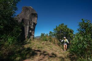 BIB: 
                            <button type="button" onclick="openModal(26575446)" class="btn btn-primary btn-sm float-right btn-popup" data-toggle="modal" data-target=".modal-high-quality">
                        <i class="fas fa-shopping-cart"></i> Add to Cart
                    </button>
                                            <button type="button" onclick="isThisMe(26575446, true)" class="btn btn-success btn-sm float-right btn-popup btn-isme hidden" data-toggle="tooltip" data-placement="bottom" title="นี่คือรูปของคุณใช่ไหม คลิกที่นี่เพื่อเอาเข้าอัลบั้ม">
                        <i class="fas fa-plus"></i> Add to album
                    </button>
                    <button type="button" onclick="isThisMe(26575446, false)" class="btn btn-warning btn-sm float-right btn-popup btn-isnotme hidden">
                        <i class="fas fa-ban"></i> Remove from album
                    </button>