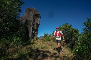 BIB: 
                            <button type="button" onclick="openModal(26576152)" class="btn btn-primary btn-sm float-right btn-popup" data-toggle="modal" data-target=".modal-high-quality">
                        <i class="fas fa-shopping-cart"></i> Add to Cart
                    </button>
                                            <button type="button" onclick="isThisMe(26576152, true)" class="btn btn-success btn-sm float-right btn-popup btn-isme hidden" data-toggle="tooltip" data-placement="bottom" title="นี่คือรูปของคุณใช่ไหม คลิกที่นี่เพื่อเอาเข้าอัลบั้ม">
                        <i class="fas fa-plus"></i> Add to album
                    </button>
                    <button type="button" onclick="isThisMe(26576152, false)" class="btn btn-warning btn-sm float-right btn-popup btn-isnotme hidden">
                        <i class="fas fa-ban"></i> Remove from album
                    </button>