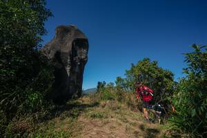 BIB: 
                            <button type="button" onclick="openModal(26579541)" class="btn btn-primary btn-sm float-right btn-popup" data-toggle="modal" data-target=".modal-high-quality">
                        <i class="fas fa-shopping-cart"></i> Add to Cart
                    </button>
                                            <button type="button" onclick="isThisMe(26579541, true)" class="btn btn-success btn-sm float-right btn-popup btn-isme hidden" data-toggle="tooltip" data-placement="bottom" title="นี่คือรูปของคุณใช่ไหม คลิกที่นี่เพื่อเอาเข้าอัลบั้ม">
                        <i class="fas fa-plus"></i> Add to album
                    </button>
                    <button type="button" onclick="isThisMe(26579541, false)" class="btn btn-warning btn-sm float-right btn-popup btn-isnotme hidden">
                        <i class="fas fa-ban"></i> Remove from album
                    </button>