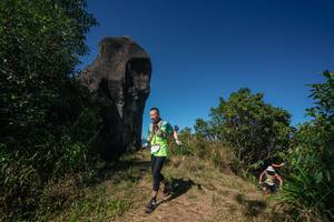 BIB: 
                            <button type="button" onclick="openModal(26579789)" class="btn btn-primary btn-sm float-right btn-popup" data-toggle="modal" data-target=".modal-high-quality">
                        <i class="fas fa-shopping-cart"></i> Add to Cart
                    </button>
                                            <button type="button" onclick="isThisMe(26579789, true)" class="btn btn-success btn-sm float-right btn-popup btn-isme hidden" data-toggle="tooltip" data-placement="bottom" title="นี่คือรูปของคุณใช่ไหม คลิกที่นี่เพื่อเอาเข้าอัลบั้ม">
                        <i class="fas fa-plus"></i> Add to album
                    </button>
                    <button type="button" onclick="isThisMe(26579789, false)" class="btn btn-warning btn-sm float-right btn-popup btn-isnotme hidden">
                        <i class="fas fa-ban"></i> Remove from album
                    </button>