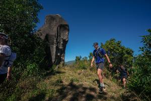 BIB: 
                            <button type="button" onclick="openModal(26576662)" class="btn btn-primary btn-sm float-right btn-popup" data-toggle="modal" data-target=".modal-high-quality">
                        <i class="fas fa-shopping-cart"></i> Add to Cart
                    </button>
                                            <button type="button" onclick="isThisMe(26576662, true)" class="btn btn-success btn-sm float-right btn-popup btn-isme hidden" data-toggle="tooltip" data-placement="bottom" title="นี่คือรูปของคุณใช่ไหม คลิกที่นี่เพื่อเอาเข้าอัลบั้ม">
                        <i class="fas fa-plus"></i> Add to album
                    </button>
                    <button type="button" onclick="isThisMe(26576662, false)" class="btn btn-warning btn-sm float-right btn-popup btn-isnotme hidden">
                        <i class="fas fa-ban"></i> Remove from album
                    </button>