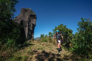 BIB: 
                            <button type="button" onclick="openModal(26577122)" class="btn btn-primary btn-sm float-right btn-popup" data-toggle="modal" data-target=".modal-high-quality">
                        <i class="fas fa-shopping-cart"></i> Add to Cart
                    </button>
                                            <button type="button" onclick="isThisMe(26577122, true)" class="btn btn-success btn-sm float-right btn-popup btn-isme hidden" data-toggle="tooltip" data-placement="bottom" title="นี่คือรูปของคุณใช่ไหม คลิกที่นี่เพื่อเอาเข้าอัลบั้ม">
                        <i class="fas fa-plus"></i> Add to album
                    </button>
                    <button type="button" onclick="isThisMe(26577122, false)" class="btn btn-warning btn-sm float-right btn-popup btn-isnotme hidden">
                        <i class="fas fa-ban"></i> Remove from album
                    </button>