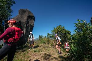 BIB: 
                            <button type="button" onclick="openModal(26578647)" class="btn btn-primary btn-sm float-right btn-popup" data-toggle="modal" data-target=".modal-high-quality">
                        <i class="fas fa-shopping-cart"></i> Add to Cart
                    </button>
                                            <button type="button" onclick="isThisMe(26578647, true)" class="btn btn-success btn-sm float-right btn-popup btn-isme hidden" data-toggle="tooltip" data-placement="bottom" title="นี่คือรูปของคุณใช่ไหม คลิกที่นี่เพื่อเอาเข้าอัลบั้ม">
                        <i class="fas fa-plus"></i> Add to album
                    </button>
                    <button type="button" onclick="isThisMe(26578647, false)" class="btn btn-warning btn-sm float-right btn-popup btn-isnotme hidden">
                        <i class="fas fa-ban"></i> Remove from album
                    </button>