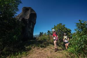 BIB: 
                            <button type="button" onclick="openModal(26586597)" class="btn btn-primary btn-sm float-right btn-popup" data-toggle="modal" data-target=".modal-high-quality">
                        <i class="fas fa-shopping-cart"></i> Add to Cart
                    </button>
                                            <button type="button" onclick="isThisMe(26586597, true)" class="btn btn-success btn-sm float-right btn-popup btn-isme hidden" data-toggle="tooltip" data-placement="bottom" title="นี่คือรูปของคุณใช่ไหม คลิกที่นี่เพื่อเอาเข้าอัลบั้ม">
                        <i class="fas fa-plus"></i> Add to album
                    </button>
                    <button type="button" onclick="isThisMe(26586597, false)" class="btn btn-warning btn-sm float-right btn-popup btn-isnotme hidden">
                        <i class="fas fa-ban"></i> Remove from album
                    </button>