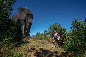 BIB: 
                            <button type="button" onclick="openModal(26577293)" class="btn btn-primary btn-sm float-right btn-popup" data-toggle="modal" data-target=".modal-high-quality">
                        <i class="fas fa-shopping-cart"></i> Add to Cart
                    </button>
                                            <button type="button" onclick="isThisMe(26577293, true)" class="btn btn-success btn-sm float-right btn-popup btn-isme hidden" data-toggle="tooltip" data-placement="bottom" title="นี่คือรูปของคุณใช่ไหม คลิกที่นี่เพื่อเอาเข้าอัลบั้ม">
                        <i class="fas fa-plus"></i> Add to album
                    </button>
                    <button type="button" onclick="isThisMe(26577293, false)" class="btn btn-warning btn-sm float-right btn-popup btn-isnotme hidden">
                        <i class="fas fa-ban"></i> Remove from album
                    </button>