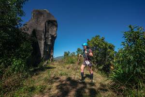 BIB: 
                            <button type="button" onclick="openModal(26577127)" class="btn btn-primary btn-sm float-right btn-popup" data-toggle="modal" data-target=".modal-high-quality">
                        <i class="fas fa-shopping-cart"></i> Add to Cart
                    </button>
                                            <button type="button" onclick="isThisMe(26577127, true)" class="btn btn-success btn-sm float-right btn-popup btn-isme hidden" data-toggle="tooltip" data-placement="bottom" title="นี่คือรูปของคุณใช่ไหม คลิกที่นี่เพื่อเอาเข้าอัลบั้ม">
                        <i class="fas fa-plus"></i> Add to album
                    </button>
                    <button type="button" onclick="isThisMe(26577127, false)" class="btn btn-warning btn-sm float-right btn-popup btn-isnotme hidden">
                        <i class="fas fa-ban"></i> Remove from album
                    </button>