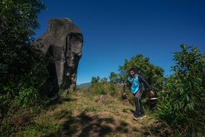 BIB: 
                            <button type="button" onclick="openModal(26576585)" class="btn btn-primary btn-sm float-right btn-popup" data-toggle="modal" data-target=".modal-high-quality">
                        <i class="fas fa-shopping-cart"></i> Add to Cart
                    </button>
                                            <button type="button" onclick="isThisMe(26576585, true)" class="btn btn-success btn-sm float-right btn-popup btn-isme hidden" data-toggle="tooltip" data-placement="bottom" title="นี่คือรูปของคุณใช่ไหม คลิกที่นี่เพื่อเอาเข้าอัลบั้ม">
                        <i class="fas fa-plus"></i> Add to album
                    </button>
                    <button type="button" onclick="isThisMe(26576585, false)" class="btn btn-warning btn-sm float-right btn-popup btn-isnotme hidden">
                        <i class="fas fa-ban"></i> Remove from album
                    </button>