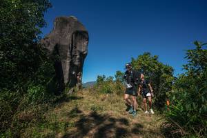 BIB: 
                            <button type="button" onclick="openModal(26576765)" class="btn btn-primary btn-sm float-right btn-popup" data-toggle="modal" data-target=".modal-high-quality">
                        <i class="fas fa-shopping-cart"></i> Add to Cart
                    </button>
                                            <button type="button" onclick="isThisMe(26576765, true)" class="btn btn-success btn-sm float-right btn-popup btn-isme hidden" data-toggle="tooltip" data-placement="bottom" title="นี่คือรูปของคุณใช่ไหม คลิกที่นี่เพื่อเอาเข้าอัลบั้ม">
                        <i class="fas fa-plus"></i> Add to album
                    </button>
                    <button type="button" onclick="isThisMe(26576765, false)" class="btn btn-warning btn-sm float-right btn-popup btn-isnotme hidden">
                        <i class="fas fa-ban"></i> Remove from album
                    </button>