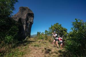 BIB: 
                            <button type="button" onclick="openModal(26578762)" class="btn btn-primary btn-sm float-right btn-popup" data-toggle="modal" data-target=".modal-high-quality">
                        <i class="fas fa-shopping-cart"></i> Add to Cart
                    </button>
                                            <button type="button" onclick="isThisMe(26578762, true)" class="btn btn-success btn-sm float-right btn-popup btn-isme hidden" data-toggle="tooltip" data-placement="bottom" title="นี่คือรูปของคุณใช่ไหม คลิกที่นี่เพื่อเอาเข้าอัลบั้ม">
                        <i class="fas fa-plus"></i> Add to album
                    </button>
                    <button type="button" onclick="isThisMe(26578762, false)" class="btn btn-warning btn-sm float-right btn-popup btn-isnotme hidden">
                        <i class="fas fa-ban"></i> Remove from album
                    </button>