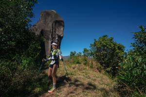 BIB: 
                            <button type="button" onclick="openModal(26575492)" class="btn btn-primary btn-sm float-right btn-popup" data-toggle="modal" data-target=".modal-high-quality">
                        <i class="fas fa-shopping-cart"></i> Add to Cart
                    </button>
                                            <button type="button" onclick="isThisMe(26575492, true)" class="btn btn-success btn-sm float-right btn-popup btn-isme hidden" data-toggle="tooltip" data-placement="bottom" title="นี่คือรูปของคุณใช่ไหม คลิกที่นี่เพื่อเอาเข้าอัลบั้ม">
                        <i class="fas fa-plus"></i> Add to album
                    </button>
                    <button type="button" onclick="isThisMe(26575492, false)" class="btn btn-warning btn-sm float-right btn-popup btn-isnotme hidden">
                        <i class="fas fa-ban"></i> Remove from album
                    </button>