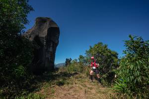 BIB: 
                            <button type="button" onclick="openModal(26583907)" class="btn btn-primary btn-sm float-right btn-popup" data-toggle="modal" data-target=".modal-high-quality">
                        <i class="fas fa-shopping-cart"></i> Add to Cart
                    </button>
                                            <button type="button" onclick="isThisMe(26583907, true)" class="btn btn-success btn-sm float-right btn-popup btn-isme hidden" data-toggle="tooltip" data-placement="bottom" title="นี่คือรูปของคุณใช่ไหม คลิกที่นี่เพื่อเอาเข้าอัลบั้ม">
                        <i class="fas fa-plus"></i> Add to album
                    </button>
                    <button type="button" onclick="isThisMe(26583907, false)" class="btn btn-warning btn-sm float-right btn-popup btn-isnotme hidden">
                        <i class="fas fa-ban"></i> Remove from album
                    </button>