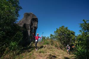 BIB: 
                            <button type="button" onclick="openModal(26578634)" class="btn btn-primary btn-sm float-right btn-popup" data-toggle="modal" data-target=".modal-high-quality">
                        <i class="fas fa-shopping-cart"></i> Add to Cart
                    </button>
                                            <button type="button" onclick="isThisMe(26578634, true)" class="btn btn-success btn-sm float-right btn-popup btn-isme hidden" data-toggle="tooltip" data-placement="bottom" title="นี่คือรูปของคุณใช่ไหม คลิกที่นี่เพื่อเอาเข้าอัลบั้ม">
                        <i class="fas fa-plus"></i> Add to album
                    </button>
                    <button type="button" onclick="isThisMe(26578634, false)" class="btn btn-warning btn-sm float-right btn-popup btn-isnotme hidden">
                        <i class="fas fa-ban"></i> Remove from album
                    </button>