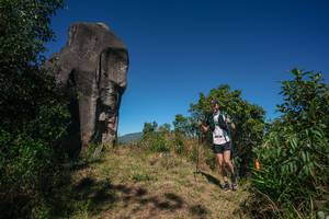 BIB: 
                            <button type="button" onclick="openModal(26574755)" class="btn btn-primary btn-sm float-right btn-popup" data-toggle="modal" data-target=".modal-high-quality">
                        <i class="fas fa-shopping-cart"></i> Add to Cart
                    </button>
                                            <button type="button" onclick="isThisMe(26574755, true)" class="btn btn-success btn-sm float-right btn-popup btn-isme hidden" data-toggle="tooltip" data-placement="bottom" title="นี่คือรูปของคุณใช่ไหม คลิกที่นี่เพื่อเอาเข้าอัลบั้ม">
                        <i class="fas fa-plus"></i> Add to album
                    </button>
                    <button type="button" onclick="isThisMe(26574755, false)" class="btn btn-warning btn-sm float-right btn-popup btn-isnotme hidden">
                        <i class="fas fa-ban"></i> Remove from album
                    </button>