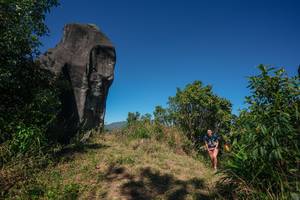 BIB: 
                            <button type="button" onclick="openModal(26577302)" class="btn btn-primary btn-sm float-right btn-popup" data-toggle="modal" data-target=".modal-high-quality">
                        <i class="fas fa-shopping-cart"></i> Add to Cart
                    </button>
                                            <button type="button" onclick="isThisMe(26577302, true)" class="btn btn-success btn-sm float-right btn-popup btn-isme hidden" data-toggle="tooltip" data-placement="bottom" title="นี่คือรูปของคุณใช่ไหม คลิกที่นี่เพื่อเอาเข้าอัลบั้ม">
                        <i class="fas fa-plus"></i> Add to album
                    </button>
                    <button type="button" onclick="isThisMe(26577302, false)" class="btn btn-warning btn-sm float-right btn-popup btn-isnotme hidden">
                        <i class="fas fa-ban"></i> Remove from album
                    </button>