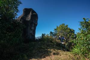 BIB: 
                            <button type="button" onclick="openModal(26591645)" class="btn btn-primary btn-sm float-right btn-popup" data-toggle="modal" data-target=".modal-high-quality">
                        <i class="fas fa-shopping-cart"></i> Add to Cart
                    </button>
                                            <button type="button" onclick="isThisMe(26591645, true)" class="btn btn-success btn-sm float-right btn-popup btn-isme hidden" data-toggle="tooltip" data-placement="bottom" title="นี่คือรูปของคุณใช่ไหม คลิกที่นี่เพื่อเอาเข้าอัลบั้ม">
                        <i class="fas fa-plus"></i> Add to album
                    </button>
                    <button type="button" onclick="isThisMe(26591645, false)" class="btn btn-warning btn-sm float-right btn-popup btn-isnotme hidden">
                        <i class="fas fa-ban"></i> Remove from album
                    </button>