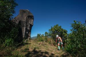 BIB: 
                            <button type="button" onclick="openModal(26576618)" class="btn btn-primary btn-sm float-right btn-popup" data-toggle="modal" data-target=".modal-high-quality">
                        <i class="fas fa-shopping-cart"></i> Add to Cart
                    </button>
                                            <button type="button" onclick="isThisMe(26576618, true)" class="btn btn-success btn-sm float-right btn-popup btn-isme hidden" data-toggle="tooltip" data-placement="bottom" title="นี่คือรูปของคุณใช่ไหม คลิกที่นี่เพื่อเอาเข้าอัลบั้ม">
                        <i class="fas fa-plus"></i> Add to album
                    </button>
                    <button type="button" onclick="isThisMe(26576618, false)" class="btn btn-warning btn-sm float-right btn-popup btn-isnotme hidden">
                        <i class="fas fa-ban"></i> Remove from album
                    </button>