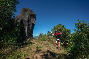 BIB: 
                            <button type="button" onclick="openModal(26577667)" class="btn btn-primary btn-sm float-right btn-popup" data-toggle="modal" data-target=".modal-high-quality">
                        <i class="fas fa-shopping-cart"></i> Add to Cart
                    </button>
                                            <button type="button" onclick="isThisMe(26577667, true)" class="btn btn-success btn-sm float-right btn-popup btn-isme hidden" data-toggle="tooltip" data-placement="bottom" title="นี่คือรูปของคุณใช่ไหม คลิกที่นี่เพื่อเอาเข้าอัลบั้ม">
                        <i class="fas fa-plus"></i> Add to album
                    </button>
                    <button type="button" onclick="isThisMe(26577667, false)" class="btn btn-warning btn-sm float-right btn-popup btn-isnotme hidden">
                        <i class="fas fa-ban"></i> Remove from album
                    </button>