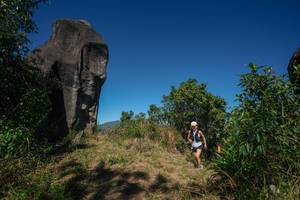 BIB: 
                            <button type="button" onclick="openModal(26576337)" class="btn btn-primary btn-sm float-right btn-popup" data-toggle="modal" data-target=".modal-high-quality">
                        <i class="fas fa-shopping-cart"></i> Add to Cart
                    </button>
                                            <button type="button" onclick="isThisMe(26576337, true)" class="btn btn-success btn-sm float-right btn-popup btn-isme hidden" data-toggle="tooltip" data-placement="bottom" title="นี่คือรูปของคุณใช่ไหม คลิกที่นี่เพื่อเอาเข้าอัลบั้ม">
                        <i class="fas fa-plus"></i> Add to album
                    </button>
                    <button type="button" onclick="isThisMe(26576337, false)" class="btn btn-warning btn-sm float-right btn-popup btn-isnotme hidden">
                        <i class="fas fa-ban"></i> Remove from album
                    </button>