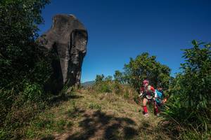 BIB: 
                            <button type="button" onclick="openModal(26576985)" class="btn btn-primary btn-sm float-right btn-popup" data-toggle="modal" data-target=".modal-high-quality">
                        <i class="fas fa-shopping-cart"></i> Add to Cart
                    </button>
                                            <button type="button" onclick="isThisMe(26576985, true)" class="btn btn-success btn-sm float-right btn-popup btn-isme hidden" data-toggle="tooltip" data-placement="bottom" title="นี่คือรูปของคุณใช่ไหม คลิกที่นี่เพื่อเอาเข้าอัลบั้ม">
                        <i class="fas fa-plus"></i> Add to album
                    </button>
                    <button type="button" onclick="isThisMe(26576985, false)" class="btn btn-warning btn-sm float-right btn-popup btn-isnotme hidden">
                        <i class="fas fa-ban"></i> Remove from album
                    </button>