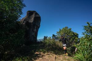 BIB: 
                            <button type="button" onclick="openModal(26588143)" class="btn btn-primary btn-sm float-right btn-popup" data-toggle="modal" data-target=".modal-high-quality">
                        <i class="fas fa-shopping-cart"></i> Add to Cart
                    </button>
                                            <button type="button" onclick="isThisMe(26588143, true)" class="btn btn-success btn-sm float-right btn-popup btn-isme hidden" data-toggle="tooltip" data-placement="bottom" title="นี่คือรูปของคุณใช่ไหม คลิกที่นี่เพื่อเอาเข้าอัลบั้ม">
                        <i class="fas fa-plus"></i> Add to album
                    </button>
                    <button type="button" onclick="isThisMe(26588143, false)" class="btn btn-warning btn-sm float-right btn-popup btn-isnotme hidden">
                        <i class="fas fa-ban"></i> Remove from album
                    </button>