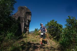 BIB: 
                            <button type="button" onclick="openModal(26576192)" class="btn btn-primary btn-sm float-right btn-popup" data-toggle="modal" data-target=".modal-high-quality">
                        <i class="fas fa-shopping-cart"></i> Add to Cart
                    </button>
                                            <button type="button" onclick="isThisMe(26576192, true)" class="btn btn-success btn-sm float-right btn-popup btn-isme hidden" data-toggle="tooltip" data-placement="bottom" title="นี่คือรูปของคุณใช่ไหม คลิกที่นี่เพื่อเอาเข้าอัลบั้ม">
                        <i class="fas fa-plus"></i> Add to album
                    </button>
                    <button type="button" onclick="isThisMe(26576192, false)" class="btn btn-warning btn-sm float-right btn-popup btn-isnotme hidden">
                        <i class="fas fa-ban"></i> Remove from album
                    </button>