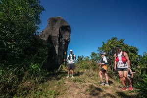 BIB: 
                            <button type="button" onclick="openModal(26578648)" class="btn btn-primary btn-sm float-right btn-popup" data-toggle="modal" data-target=".modal-high-quality">
                        <i class="fas fa-shopping-cart"></i> Add to Cart
                    </button>
                                            <button type="button" onclick="isThisMe(26578648, true)" class="btn btn-success btn-sm float-right btn-popup btn-isme hidden" data-toggle="tooltip" data-placement="bottom" title="นี่คือรูปของคุณใช่ไหม คลิกที่นี่เพื่อเอาเข้าอัลบั้ม">
                        <i class="fas fa-plus"></i> Add to album
                    </button>
                    <button type="button" onclick="isThisMe(26578648, false)" class="btn btn-warning btn-sm float-right btn-popup btn-isnotme hidden">
                        <i class="fas fa-ban"></i> Remove from album
                    </button>