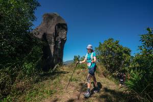 BIB: 
                            <button type="button" onclick="openModal(26578267)" class="btn btn-primary btn-sm float-right btn-popup" data-toggle="modal" data-target=".modal-high-quality">
                        <i class="fas fa-shopping-cart"></i> Add to Cart
                    </button>
                                            <button type="button" onclick="isThisMe(26578267, true)" class="btn btn-success btn-sm float-right btn-popup btn-isme hidden" data-toggle="tooltip" data-placement="bottom" title="นี่คือรูปของคุณใช่ไหม คลิกที่นี่เพื่อเอาเข้าอัลบั้ม">
                        <i class="fas fa-plus"></i> Add to album
                    </button>
                    <button type="button" onclick="isThisMe(26578267, false)" class="btn btn-warning btn-sm float-right btn-popup btn-isnotme hidden">
                        <i class="fas fa-ban"></i> Remove from album
                    </button>