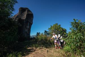 BIB: 
                            <button type="button" onclick="openModal(26588019)" class="btn btn-primary btn-sm float-right btn-popup" data-toggle="modal" data-target=".modal-high-quality">
                        <i class="fas fa-shopping-cart"></i> Add to Cart
                    </button>
                                            <button type="button" onclick="isThisMe(26588019, true)" class="btn btn-success btn-sm float-right btn-popup btn-isme hidden" data-toggle="tooltip" data-placement="bottom" title="นี่คือรูปของคุณใช่ไหม คลิกที่นี่เพื่อเอาเข้าอัลบั้ม">
                        <i class="fas fa-plus"></i> Add to album
                    </button>
                    <button type="button" onclick="isThisMe(26588019, false)" class="btn btn-warning btn-sm float-right btn-popup btn-isnotme hidden">
                        <i class="fas fa-ban"></i> Remove from album
                    </button>