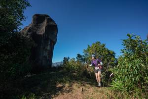 BIB: 
                            <button type="button" onclick="openModal(26588845)" class="btn btn-primary btn-sm float-right btn-popup" data-toggle="modal" data-target=".modal-high-quality">
                        <i class="fas fa-shopping-cart"></i> Add to Cart
                    </button>
                                            <button type="button" onclick="isThisMe(26588845, true)" class="btn btn-success btn-sm float-right btn-popup btn-isme hidden" data-toggle="tooltip" data-placement="bottom" title="นี่คือรูปของคุณใช่ไหม คลิกที่นี่เพื่อเอาเข้าอัลบั้ม">
                        <i class="fas fa-plus"></i> Add to album
                    </button>
                    <button type="button" onclick="isThisMe(26588845, false)" class="btn btn-warning btn-sm float-right btn-popup btn-isnotme hidden">
                        <i class="fas fa-ban"></i> Remove from album
                    </button>