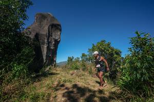 BIB: 
                            <button type="button" onclick="openModal(26577202)" class="btn btn-primary btn-sm float-right btn-popup" data-toggle="modal" data-target=".modal-high-quality">
                        <i class="fas fa-shopping-cart"></i> Add to Cart
                    </button>
                                            <button type="button" onclick="isThisMe(26577202, true)" class="btn btn-success btn-sm float-right btn-popup btn-isme hidden" data-toggle="tooltip" data-placement="bottom" title="นี่คือรูปของคุณใช่ไหม คลิกที่นี่เพื่อเอาเข้าอัลบั้ม">
                        <i class="fas fa-plus"></i> Add to album
                    </button>
                    <button type="button" onclick="isThisMe(26577202, false)" class="btn btn-warning btn-sm float-right btn-popup btn-isnotme hidden">
                        <i class="fas fa-ban"></i> Remove from album
                    </button>