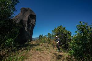 BIB: 
                            <button type="button" onclick="openModal(26579437)" class="btn btn-primary btn-sm float-right btn-popup" data-toggle="modal" data-target=".modal-high-quality">
                        <i class="fas fa-shopping-cart"></i> Add to Cart
                    </button>
                                            <button type="button" onclick="isThisMe(26579437, true)" class="btn btn-success btn-sm float-right btn-popup btn-isme hidden" data-toggle="tooltip" data-placement="bottom" title="นี่คือรูปของคุณใช่ไหม คลิกที่นี่เพื่อเอาเข้าอัลบั้ม">
                        <i class="fas fa-plus"></i> Add to album
                    </button>
                    <button type="button" onclick="isThisMe(26579437, false)" class="btn btn-warning btn-sm float-right btn-popup btn-isnotme hidden">
                        <i class="fas fa-ban"></i> Remove from album
                    </button>