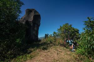 BIB: 
                            <button type="button" onclick="openModal(26584934)" class="btn btn-primary btn-sm float-right btn-popup" data-toggle="modal" data-target=".modal-high-quality">
                        <i class="fas fa-shopping-cart"></i> Add to Cart
                    </button>
                                            <button type="button" onclick="isThisMe(26584934, true)" class="btn btn-success btn-sm float-right btn-popup btn-isme hidden" data-toggle="tooltip" data-placement="bottom" title="นี่คือรูปของคุณใช่ไหม คลิกที่นี่เพื่อเอาเข้าอัลบั้ม">
                        <i class="fas fa-plus"></i> Add to album
                    </button>
                    <button type="button" onclick="isThisMe(26584934, false)" class="btn btn-warning btn-sm float-right btn-popup btn-isnotme hidden">
                        <i class="fas fa-ban"></i> Remove from album
                    </button>