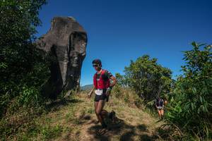 BIB: 
                            <button type="button" onclick="openModal(26577271)" class="btn btn-primary btn-sm float-right btn-popup" data-toggle="modal" data-target=".modal-high-quality">
                        <i class="fas fa-shopping-cart"></i> Add to Cart
                    </button>
                                            <button type="button" onclick="isThisMe(26577271, true)" class="btn btn-success btn-sm float-right btn-popup btn-isme hidden" data-toggle="tooltip" data-placement="bottom" title="นี่คือรูปของคุณใช่ไหม คลิกที่นี่เพื่อเอาเข้าอัลบั้ม">
                        <i class="fas fa-plus"></i> Add to album
                    </button>
                    <button type="button" onclick="isThisMe(26577271, false)" class="btn btn-warning btn-sm float-right btn-popup btn-isnotme hidden">
                        <i class="fas fa-ban"></i> Remove from album
                    </button>