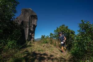 BIB: 
                            <button type="button" onclick="openModal(26576173)" class="btn btn-primary btn-sm float-right btn-popup" data-toggle="modal" data-target=".modal-high-quality">
                        <i class="fas fa-shopping-cart"></i> Add to Cart
                    </button>
                                            <button type="button" onclick="isThisMe(26576173, true)" class="btn btn-success btn-sm float-right btn-popup btn-isme hidden" data-toggle="tooltip" data-placement="bottom" title="นี่คือรูปของคุณใช่ไหม คลิกที่นี่เพื่อเอาเข้าอัลบั้ม">
                        <i class="fas fa-plus"></i> Add to album
                    </button>
                    <button type="button" onclick="isThisMe(26576173, false)" class="btn btn-warning btn-sm float-right btn-popup btn-isnotme hidden">
                        <i class="fas fa-ban"></i> Remove from album
                    </button>