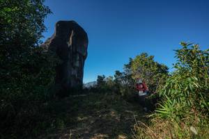 BIB: 
                            <button type="button" onclick="openModal(26592363)" class="btn btn-primary btn-sm float-right btn-popup" data-toggle="modal" data-target=".modal-high-quality">
                        <i class="fas fa-shopping-cart"></i> Add to Cart
                    </button>
                                            <button type="button" onclick="isThisMe(26592363, true)" class="btn btn-success btn-sm float-right btn-popup btn-isme hidden" data-toggle="tooltip" data-placement="bottom" title="นี่คือรูปของคุณใช่ไหม คลิกที่นี่เพื่อเอาเข้าอัลบั้ม">
                        <i class="fas fa-plus"></i> Add to album
                    </button>
                    <button type="button" onclick="isThisMe(26592363, false)" class="btn btn-warning btn-sm float-right btn-popup btn-isnotme hidden">
                        <i class="fas fa-ban"></i> Remove from album
                    </button>