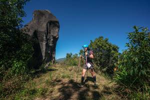 BIB: 
                            <button type="button" onclick="openModal(26577128)" class="btn btn-primary btn-sm float-right btn-popup" data-toggle="modal" data-target=".modal-high-quality">
                        <i class="fas fa-shopping-cart"></i> Add to Cart
                    </button>
                                            <button type="button" onclick="isThisMe(26577128, true)" class="btn btn-success btn-sm float-right btn-popup btn-isme hidden" data-toggle="tooltip" data-placement="bottom" title="นี่คือรูปของคุณใช่ไหม คลิกที่นี่เพื่อเอาเข้าอัลบั้ม">
                        <i class="fas fa-plus"></i> Add to album
                    </button>
                    <button type="button" onclick="isThisMe(26577128, false)" class="btn btn-warning btn-sm float-right btn-popup btn-isnotme hidden">
                        <i class="fas fa-ban"></i> Remove from album
                    </button>