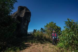 BIB: 
                            <button type="button" onclick="openModal(26587820)" class="btn btn-primary btn-sm float-right btn-popup" data-toggle="modal" data-target=".modal-high-quality">
                        <i class="fas fa-shopping-cart"></i> Add to Cart
                    </button>
                                            <button type="button" onclick="isThisMe(26587820, true)" class="btn btn-success btn-sm float-right btn-popup btn-isme hidden" data-toggle="tooltip" data-placement="bottom" title="นี่คือรูปของคุณใช่ไหม คลิกที่นี่เพื่อเอาเข้าอัลบั้ม">
                        <i class="fas fa-plus"></i> Add to album
                    </button>
                    <button type="button" onclick="isThisMe(26587820, false)" class="btn btn-warning btn-sm float-right btn-popup btn-isnotme hidden">
                        <i class="fas fa-ban"></i> Remove from album
                    </button>