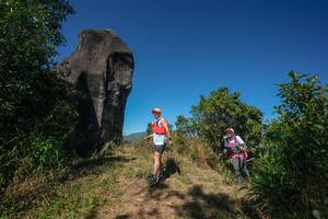 BIB: 
                            <button type="button" onclick="openModal(26577913)" class="btn btn-primary btn-sm float-right btn-popup" data-toggle="modal" data-target=".modal-high-quality">
                        <i class="fas fa-shopping-cart"></i> Add to Cart
                    </button>
                                            <button type="button" onclick="isThisMe(26577913, true)" class="btn btn-success btn-sm float-right btn-popup btn-isme hidden" data-toggle="tooltip" data-placement="bottom" title="นี่คือรูปของคุณใช่ไหม คลิกที่นี่เพื่อเอาเข้าอัลบั้ม">
                        <i class="fas fa-plus"></i> Add to album
                    </button>
                    <button type="button" onclick="isThisMe(26577913, false)" class="btn btn-warning btn-sm float-right btn-popup btn-isnotme hidden">
                        <i class="fas fa-ban"></i> Remove from album
                    </button>