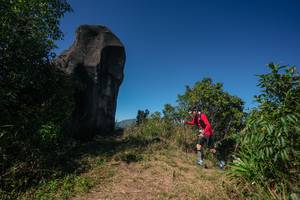 BIB: 
                            <button type="button" onclick="openModal(26584535)" class="btn btn-primary btn-sm float-right btn-popup" data-toggle="modal" data-target=".modal-high-quality">
                        <i class="fas fa-shopping-cart"></i> Add to Cart
                    </button>
                                            <button type="button" onclick="isThisMe(26584535, true)" class="btn btn-success btn-sm float-right btn-popup btn-isme hidden" data-toggle="tooltip" data-placement="bottom" title="นี่คือรูปของคุณใช่ไหม คลิกที่นี่เพื่อเอาเข้าอัลบั้ม">
                        <i class="fas fa-plus"></i> Add to album
                    </button>
                    <button type="button" onclick="isThisMe(26584535, false)" class="btn btn-warning btn-sm float-right btn-popup btn-isnotme hidden">
                        <i class="fas fa-ban"></i> Remove from album
                    </button>