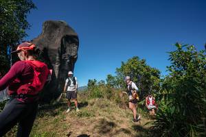 BIB: 
                            <button type="button" onclick="openModal(26578646)" class="btn btn-primary btn-sm float-right btn-popup" data-toggle="modal" data-target=".modal-high-quality">
                        <i class="fas fa-shopping-cart"></i> Add to Cart
                    </button>
                                            <button type="button" onclick="isThisMe(26578646, true)" class="btn btn-success btn-sm float-right btn-popup btn-isme hidden" data-toggle="tooltip" data-placement="bottom" title="นี่คือรูปของคุณใช่ไหม คลิกที่นี่เพื่อเอาเข้าอัลบั้ม">
                        <i class="fas fa-plus"></i> Add to album
                    </button>
                    <button type="button" onclick="isThisMe(26578646, false)" class="btn btn-warning btn-sm float-right btn-popup btn-isnotme hidden">
                        <i class="fas fa-ban"></i> Remove from album
                    </button>