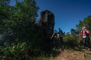 BIB: 
                            <button type="button" onclick="openModal(26587383)" class="btn btn-primary btn-sm float-right btn-popup" data-toggle="modal" data-target=".modal-high-quality">
                        <i class="fas fa-shopping-cart"></i> Add to Cart
                    </button>
                                            <button type="button" onclick="isThisMe(26587383, true)" class="btn btn-success btn-sm float-right btn-popup btn-isme hidden" data-toggle="tooltip" data-placement="bottom" title="นี่คือรูปของคุณใช่ไหม คลิกที่นี่เพื่อเอาเข้าอัลบั้ม">
                        <i class="fas fa-plus"></i> Add to album
                    </button>
                    <button type="button" onclick="isThisMe(26587383, false)" class="btn btn-warning btn-sm float-right btn-popup btn-isnotme hidden">
                        <i class="fas fa-ban"></i> Remove from album
                    </button>