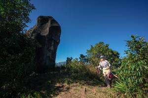 BIB: 
                            <button type="button" onclick="openModal(26588314)" class="btn btn-primary btn-sm float-right btn-popup" data-toggle="modal" data-target=".modal-high-quality">
                        <i class="fas fa-shopping-cart"></i> Add to Cart
                    </button>
                                            <button type="button" onclick="isThisMe(26588314, true)" class="btn btn-success btn-sm float-right btn-popup btn-isme hidden" data-toggle="tooltip" data-placement="bottom" title="นี่คือรูปของคุณใช่ไหม คลิกที่นี่เพื่อเอาเข้าอัลบั้ม">
                        <i class="fas fa-plus"></i> Add to album
                    </button>
                    <button type="button" onclick="isThisMe(26588314, false)" class="btn btn-warning btn-sm float-right btn-popup btn-isnotme hidden">
                        <i class="fas fa-ban"></i> Remove from album
                    </button>