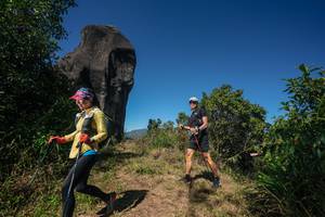 BIB: 
                            <button type="button" onclick="openModal(26578998)" class="btn btn-primary btn-sm float-right btn-popup" data-toggle="modal" data-target=".modal-high-quality">
                        <i class="fas fa-shopping-cart"></i> Add to Cart
                    </button>
                                            <button type="button" onclick="isThisMe(26578998, true)" class="btn btn-success btn-sm float-right btn-popup btn-isme hidden" data-toggle="tooltip" data-placement="bottom" title="นี่คือรูปของคุณใช่ไหม คลิกที่นี่เพื่อเอาเข้าอัลบั้ม">
                        <i class="fas fa-plus"></i> Add to album
                    </button>
                    <button type="button" onclick="isThisMe(26578998, false)" class="btn btn-warning btn-sm float-right btn-popup btn-isnotme hidden">
                        <i class="fas fa-ban"></i> Remove from album
                    </button>