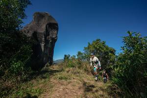 BIB: 
                            <button type="button" onclick="openModal(26579061)" class="btn btn-primary btn-sm float-right btn-popup" data-toggle="modal" data-target=".modal-high-quality">
                        <i class="fas fa-shopping-cart"></i> Add to Cart
                    </button>
                                            <button type="button" onclick="isThisMe(26579061, true)" class="btn btn-success btn-sm float-right btn-popup btn-isme hidden" data-toggle="tooltip" data-placement="bottom" title="นี่คือรูปของคุณใช่ไหม คลิกที่นี่เพื่อเอาเข้าอัลบั้ม">
                        <i class="fas fa-plus"></i> Add to album
                    </button>
                    <button type="button" onclick="isThisMe(26579061, false)" class="btn btn-warning btn-sm float-right btn-popup btn-isnotme hidden">
                        <i class="fas fa-ban"></i> Remove from album
                    </button>