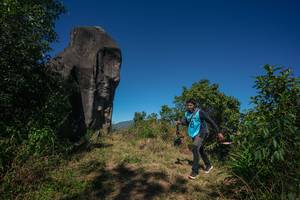 BIB: 
                            <button type="button" onclick="openModal(26576584)" class="btn btn-primary btn-sm float-right btn-popup" data-toggle="modal" data-target=".modal-high-quality">
                        <i class="fas fa-shopping-cart"></i> Add to Cart
                    </button>
                                            <button type="button" onclick="isThisMe(26576584, true)" class="btn btn-success btn-sm float-right btn-popup btn-isme hidden" data-toggle="tooltip" data-placement="bottom" title="นี่คือรูปของคุณใช่ไหม คลิกที่นี่เพื่อเอาเข้าอัลบั้ม">
                        <i class="fas fa-plus"></i> Add to album
                    </button>
                    <button type="button" onclick="isThisMe(26576584, false)" class="btn btn-warning btn-sm float-right btn-popup btn-isnotme hidden">
                        <i class="fas fa-ban"></i> Remove from album
                    </button>