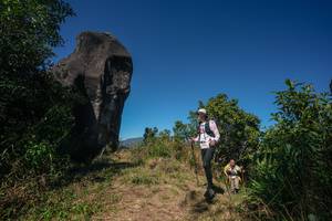 BIB: 
                            <button type="button" onclick="openModal(26579145)" class="btn btn-primary btn-sm float-right btn-popup" data-toggle="modal" data-target=".modal-high-quality">
                        <i class="fas fa-shopping-cart"></i> Add to Cart
                    </button>
                                            <button type="button" onclick="isThisMe(26579145, true)" class="btn btn-success btn-sm float-right btn-popup btn-isme hidden" data-toggle="tooltip" data-placement="bottom" title="นี่คือรูปของคุณใช่ไหม คลิกที่นี่เพื่อเอาเข้าอัลบั้ม">
                        <i class="fas fa-plus"></i> Add to album
                    </button>
                    <button type="button" onclick="isThisMe(26579145, false)" class="btn btn-warning btn-sm float-right btn-popup btn-isnotme hidden">
                        <i class="fas fa-ban"></i> Remove from album
                    </button>